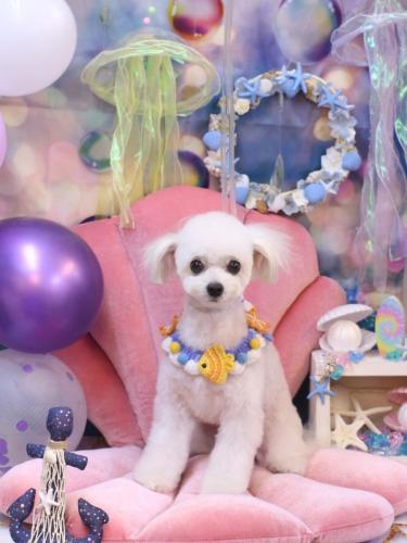 20240827小雪ちゃん